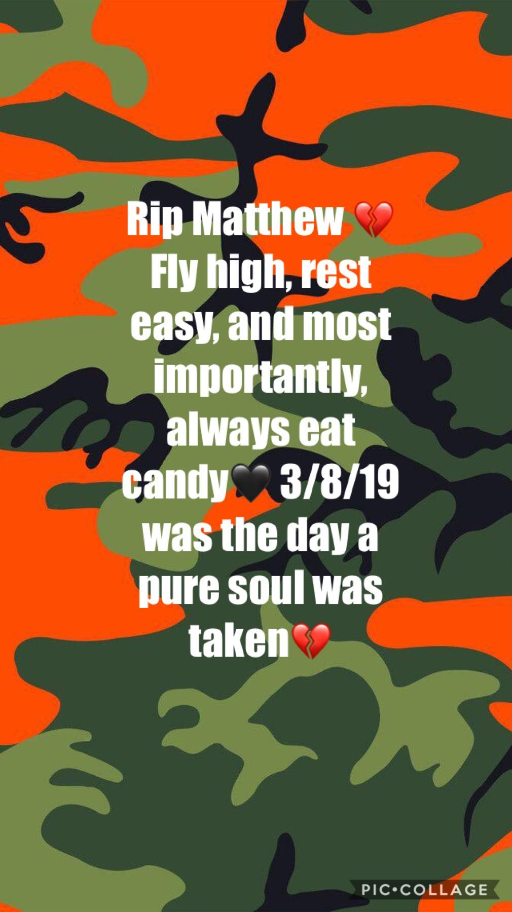 I’ll always remember one of my best friends💔 he was a pure soul no matter how manny times he took my candy 🙃💚 RIP Matthew~ 3/8/19💔❣️