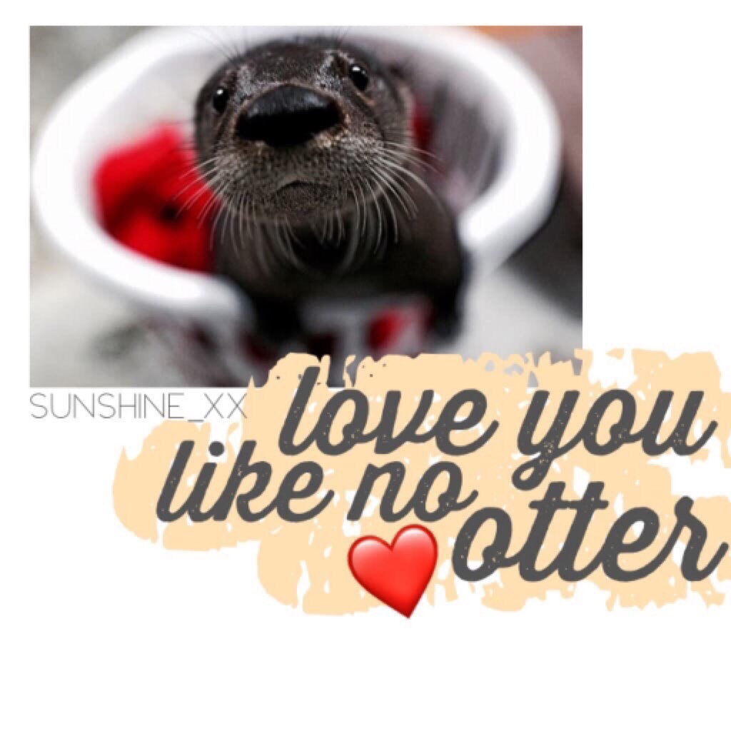 Okay, but can we just appreciate how adorable otters are?! 😍😂 This is a contest entry to @skinkz's contest!
