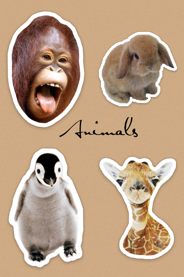 Animals are awesome
Animalover