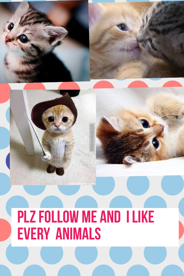 Plz follow me and  I like every  animals 