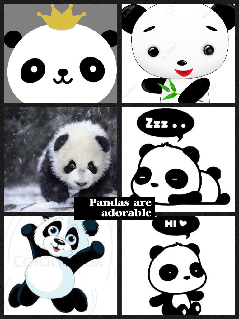 Pandas are adorable🐼
Aren't they cute🐼