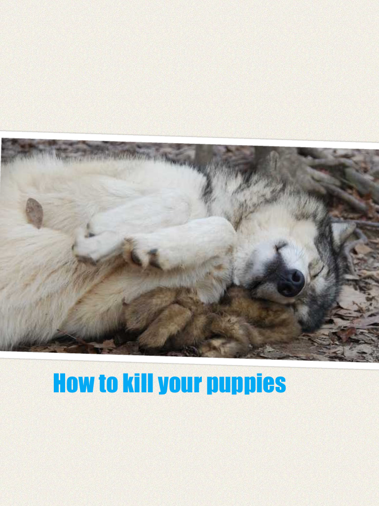 How to kill your puppies 