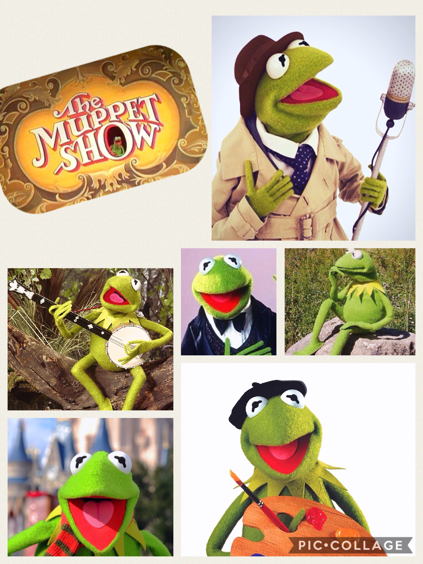 Kermit the Frog from The Muppets Show!