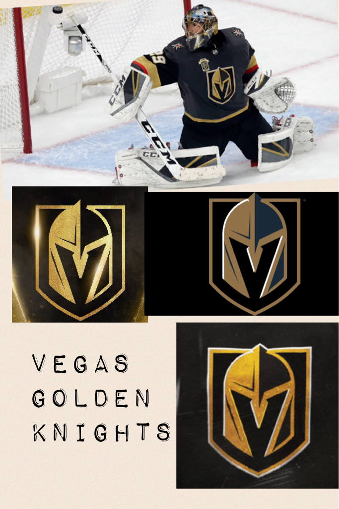 Vegas golden knights 