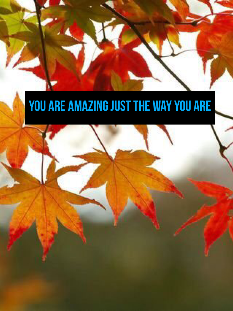 You are amazing just the way you are