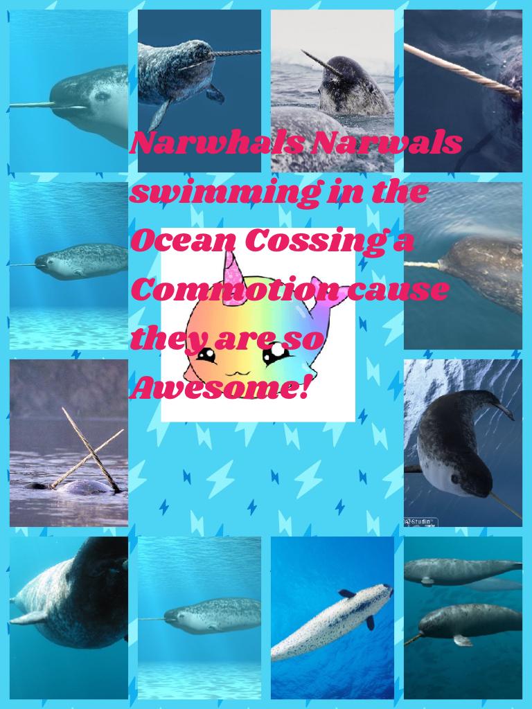Narwhals Narwals swimming in the Ocean Cossing a Commotion cause they are so Awesome!
