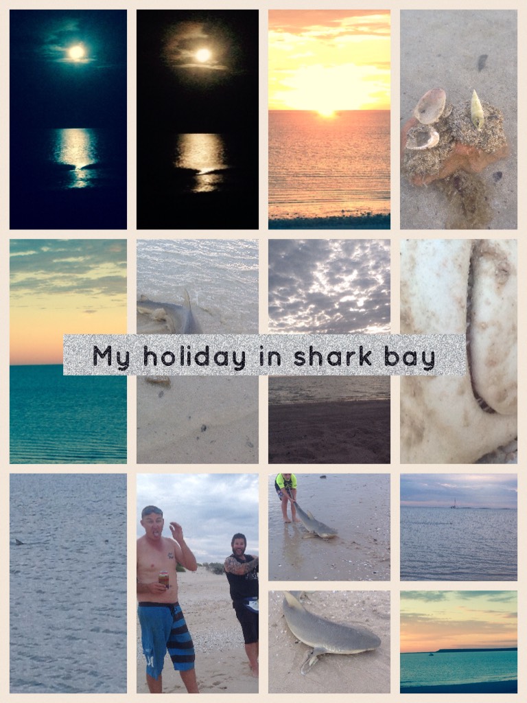 My holiday in shark bay