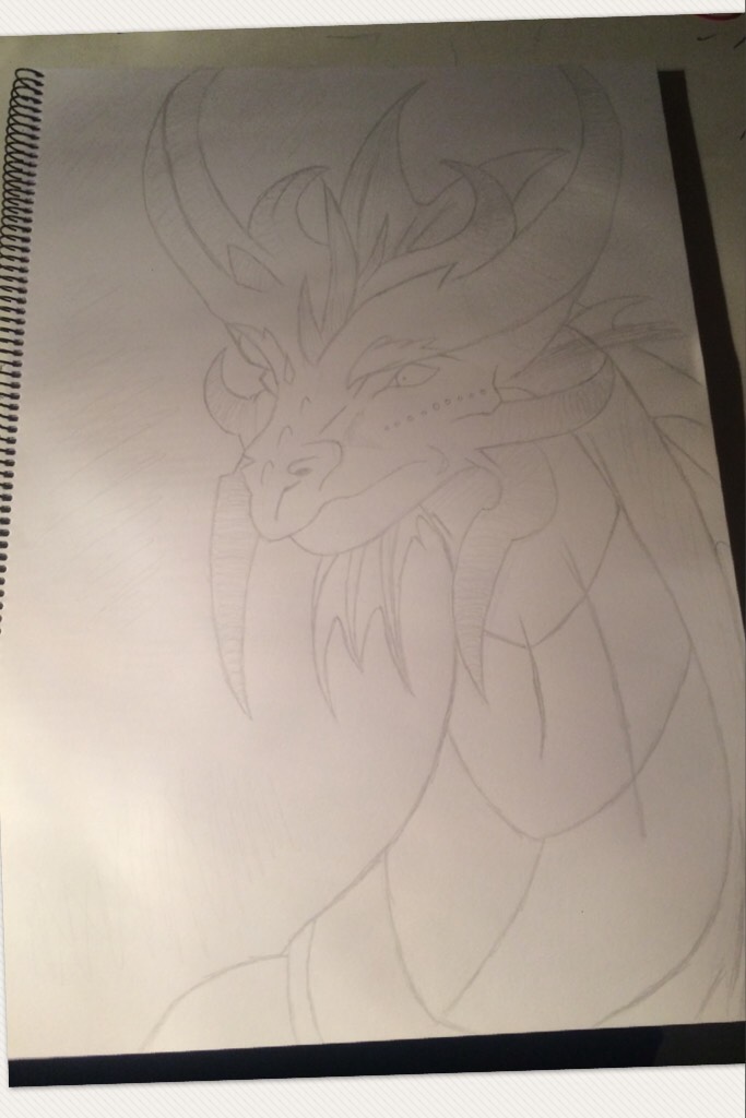 Another dragon drawing