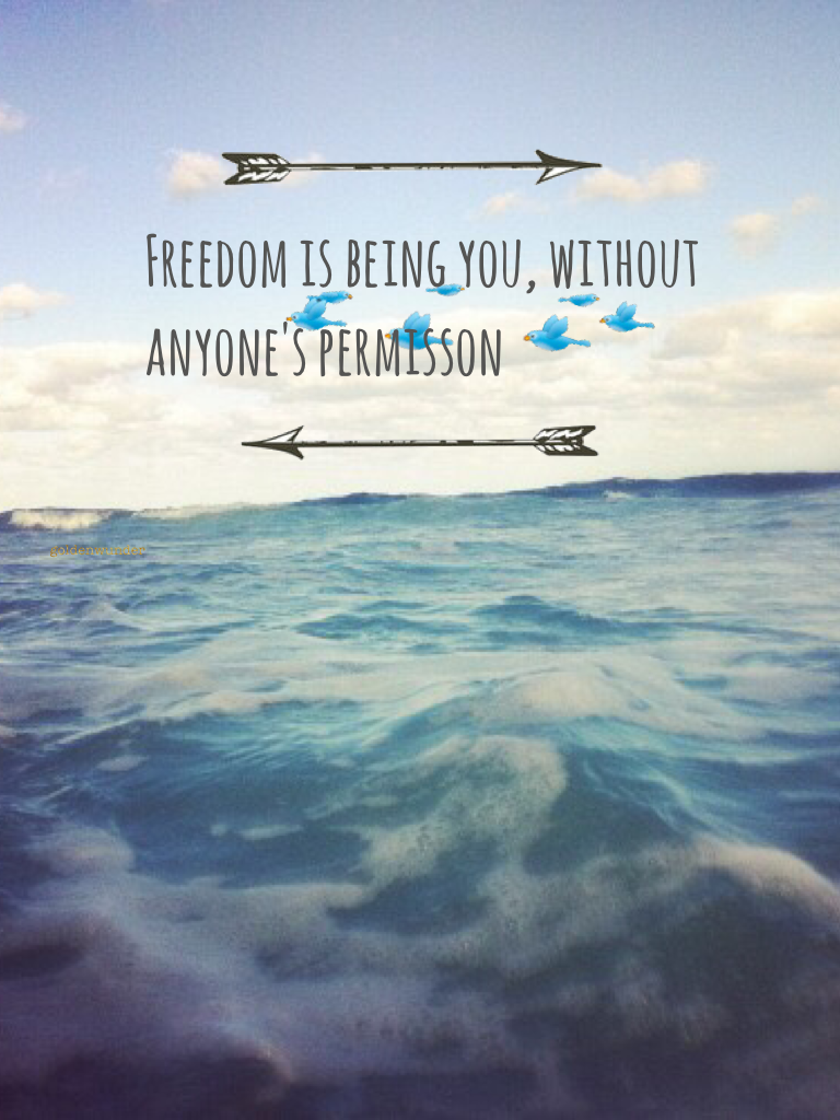 Freedom is being you, without anyone's permisson.
