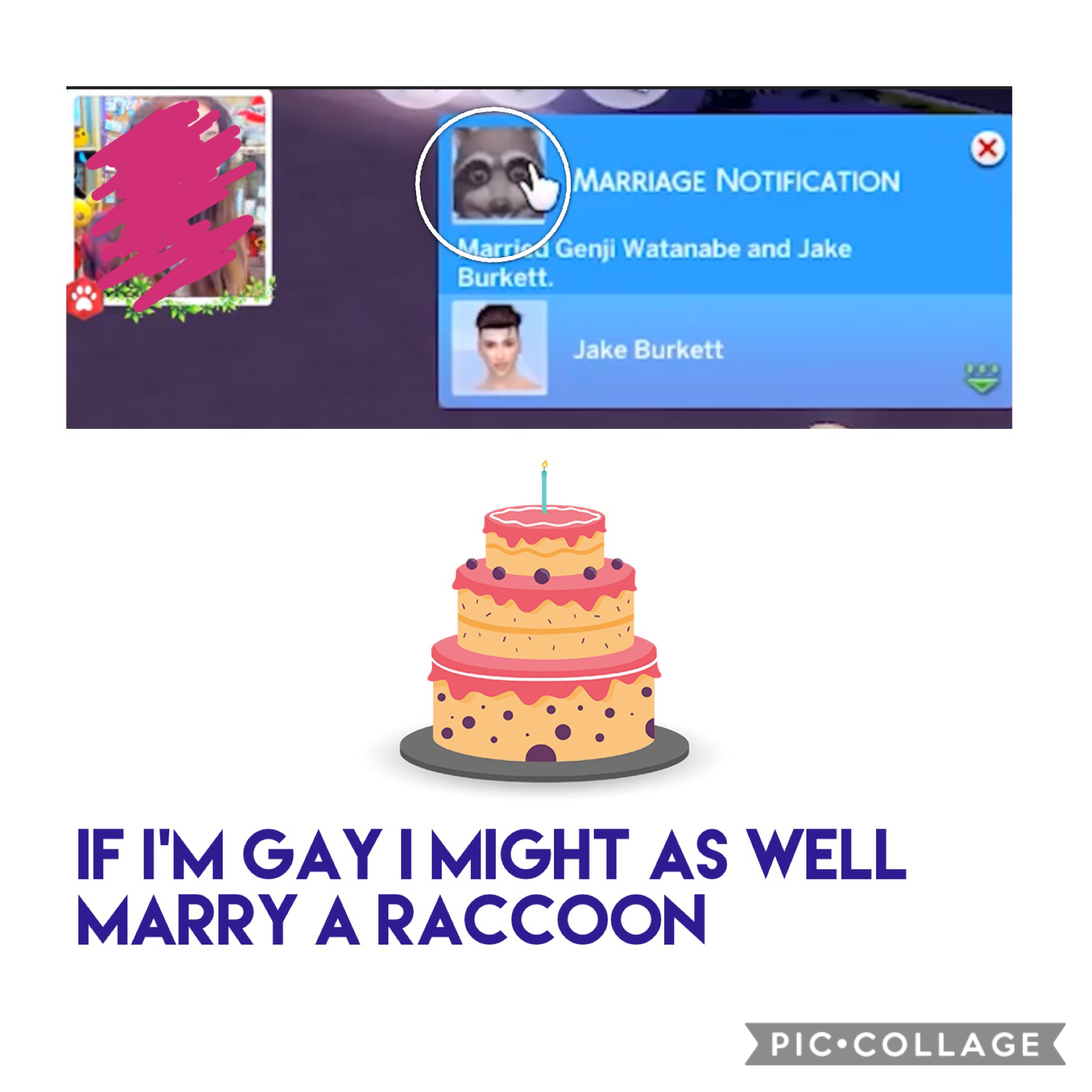 In Sims 4