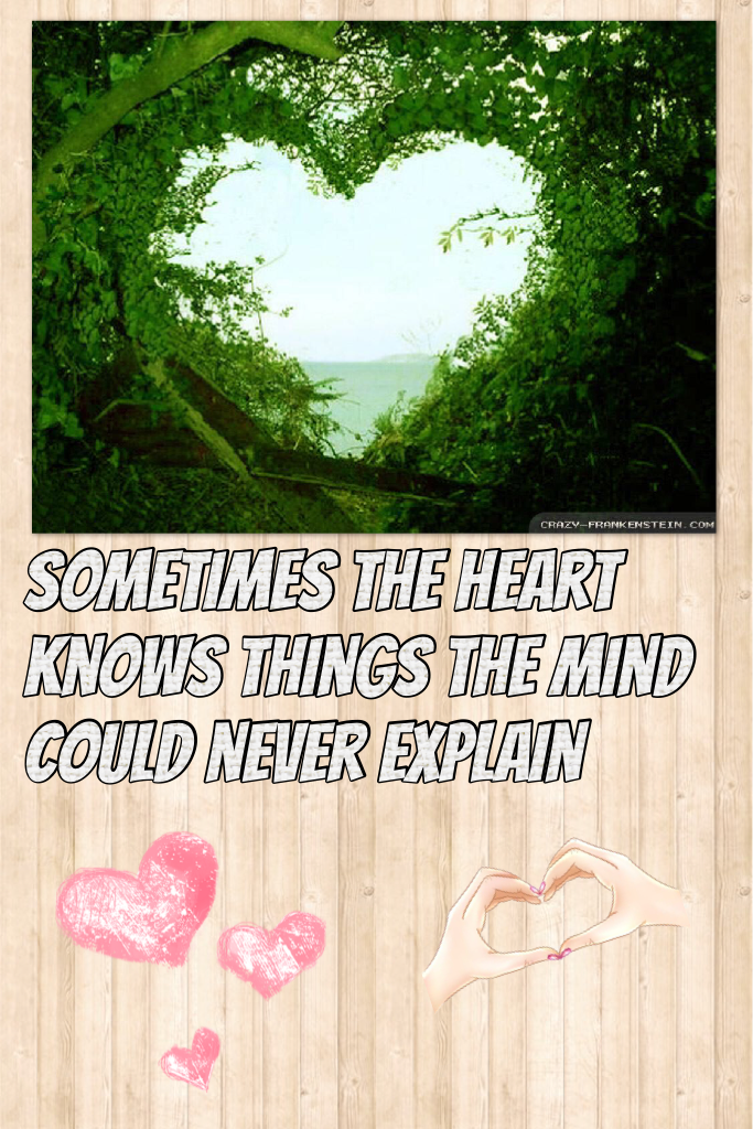 Sometimes the heart knows things the mind could never explain