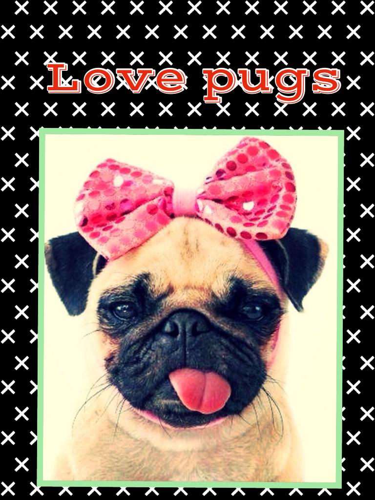 ##Love pugs