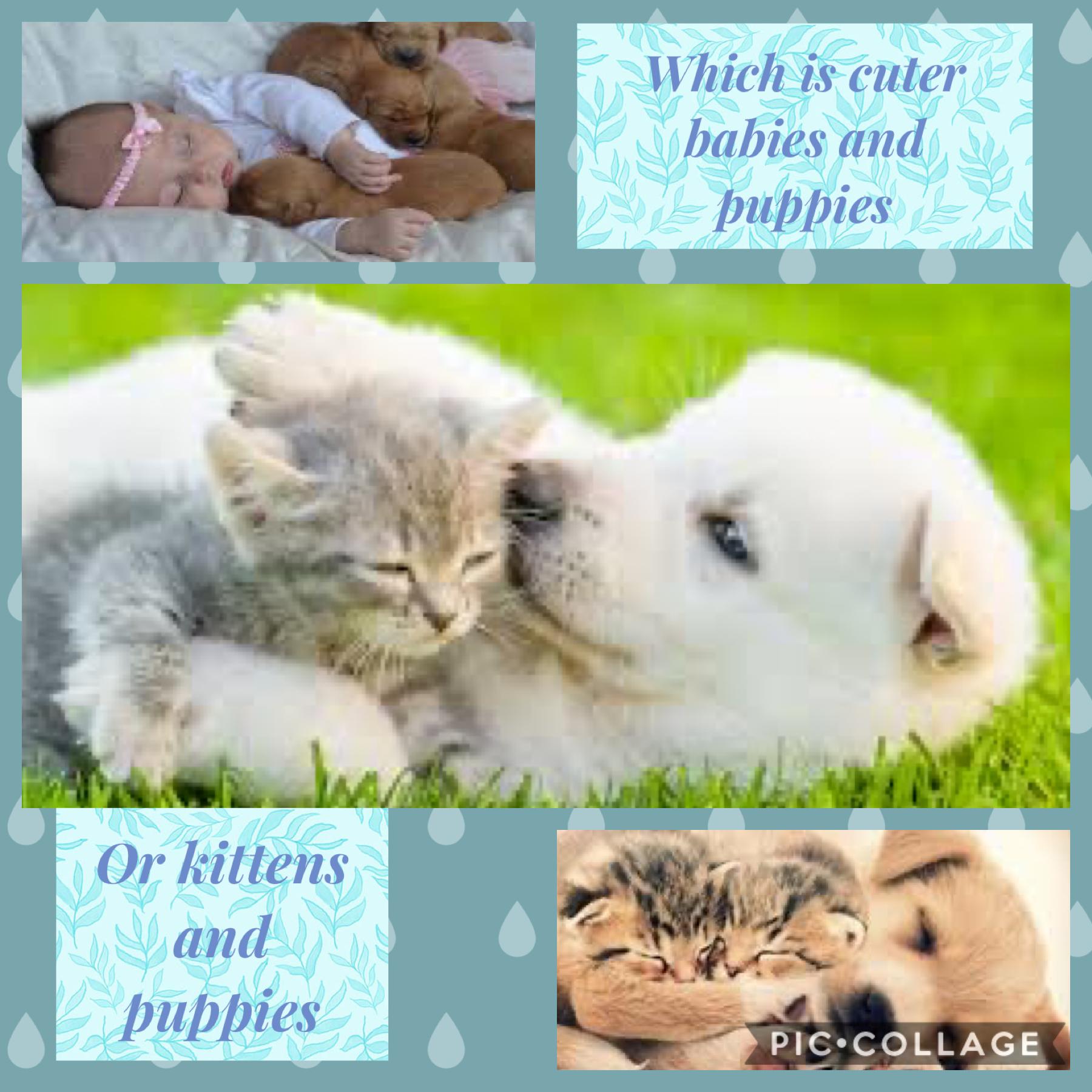 Which one people it is a hard one sorry followers but I can’t choose peace