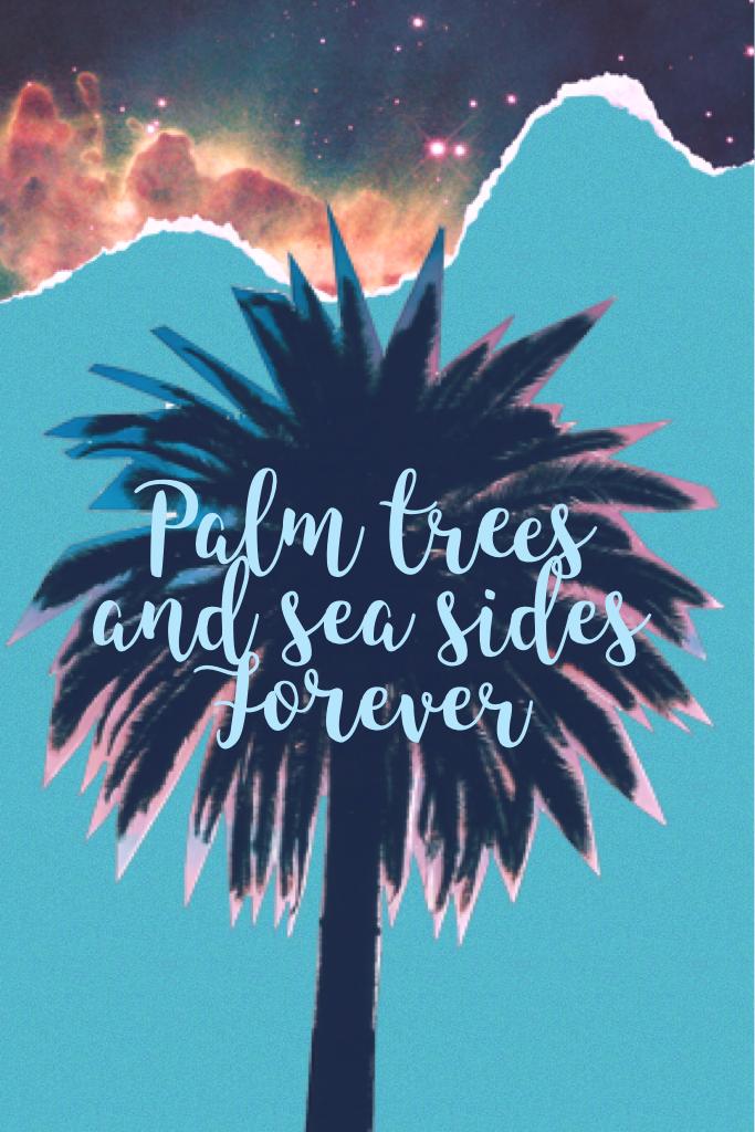 Palm trees and sea sides
Forever 