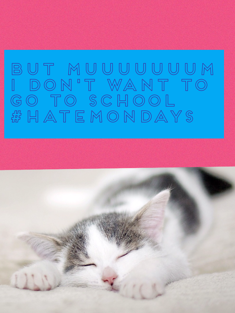 But muuuuuuum I don't want to go to school
#hatemondays!