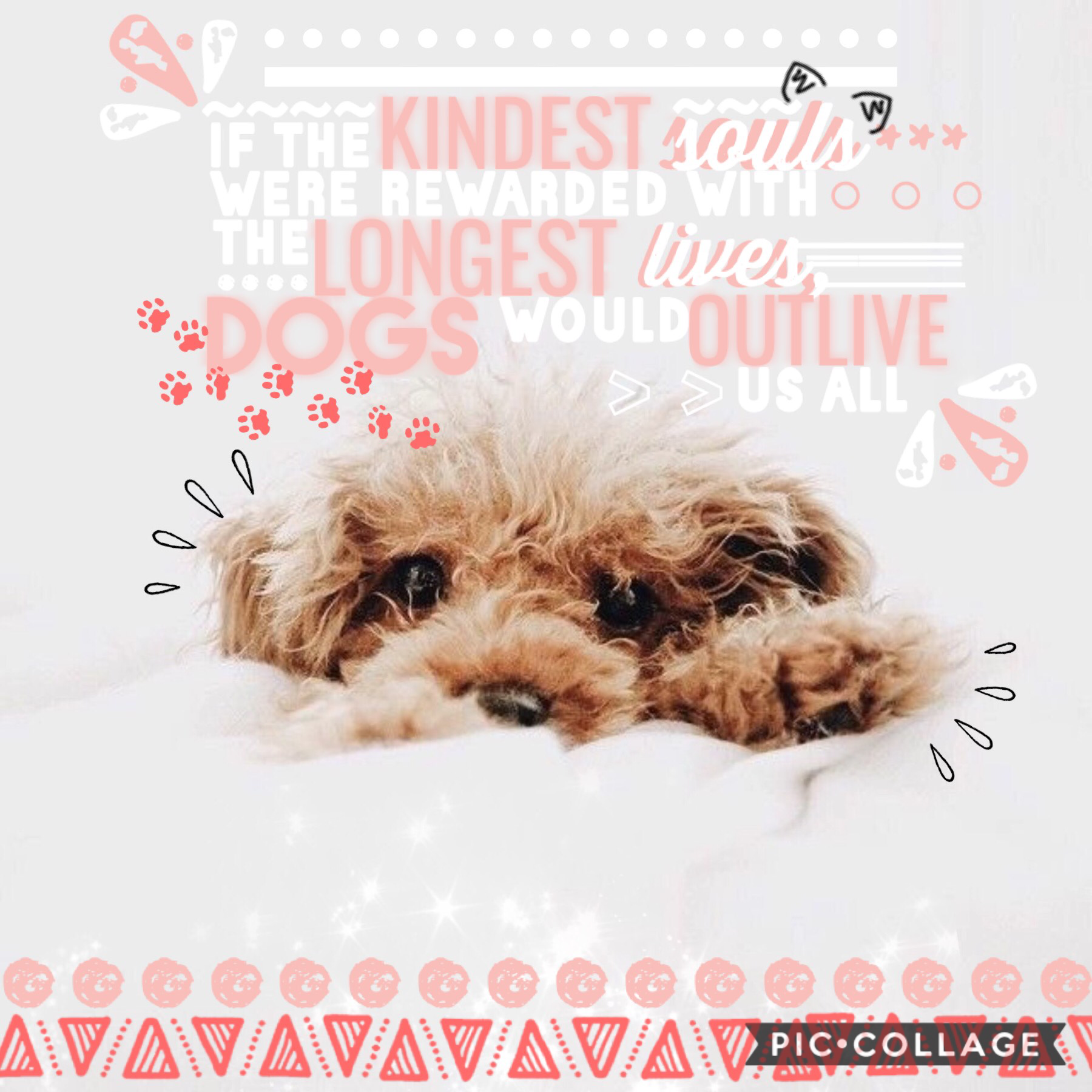 heyo again queens 👑 hope you like this! i just love the dog 😍😍 QOTD: anyone have pinterest and if yes, whats your user? AOTD: yass, add me: twinkling stars ✨ (my account is a bit messy, only started a month ago) 