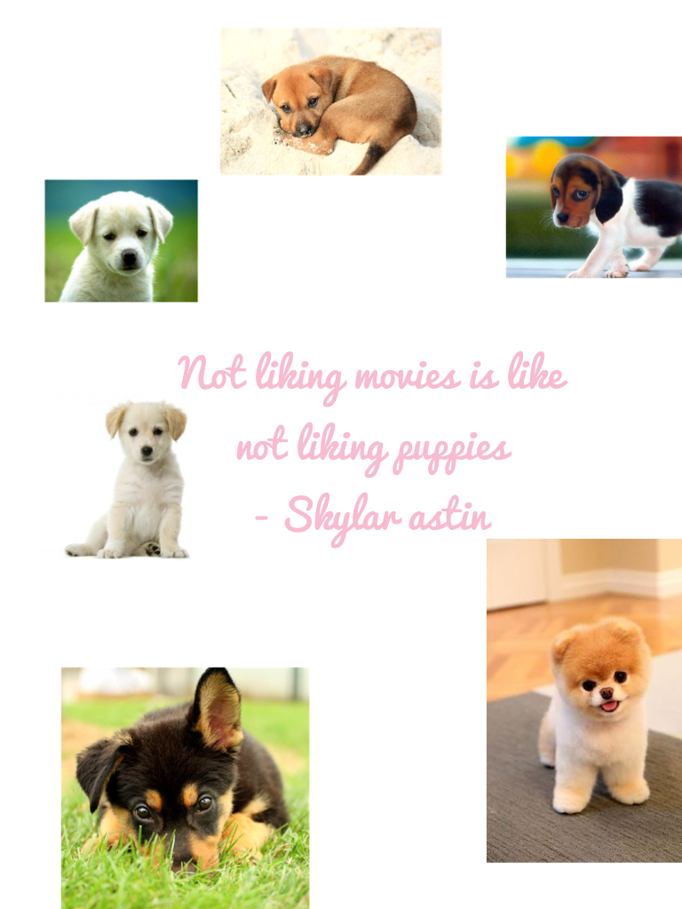Not liking movies is like not liking puppies
- Skylar astin