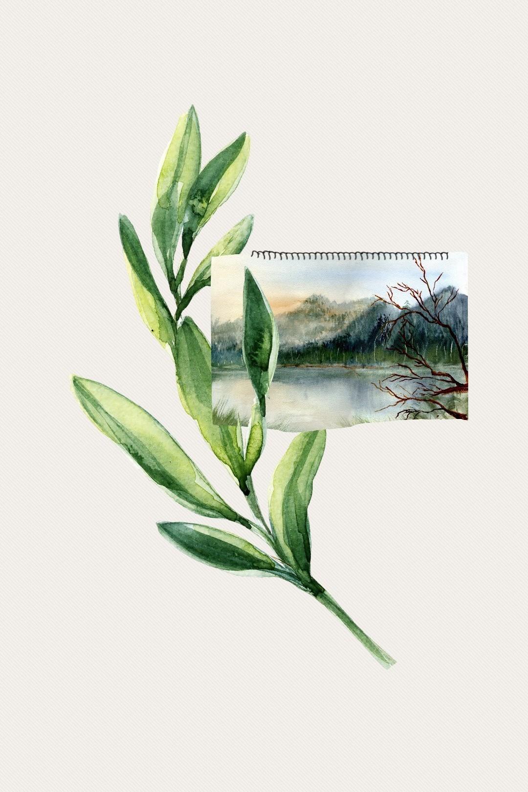 ☝️ ŤĀP ☝️
💆‍♂️ HILOMILO 💆‍♂️
i doubt that you can find one watercolour leaf png that i havent used 😂 i litterally had to hunt thru the image search for this one 😂.
rate /10? 💫