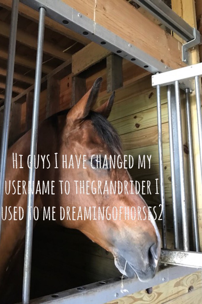 Hi guys I have changed my username to thegrandrider I used to me dreamingofhorses2