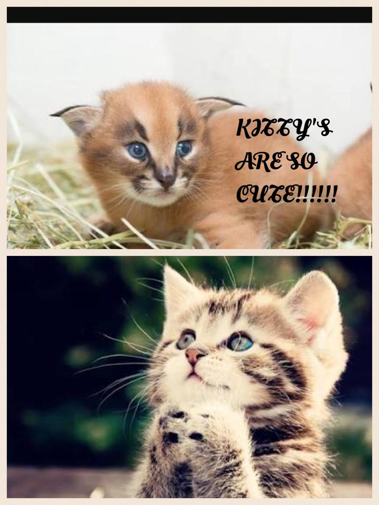KITTY'S
ARE SO
CUTE!!!!!!