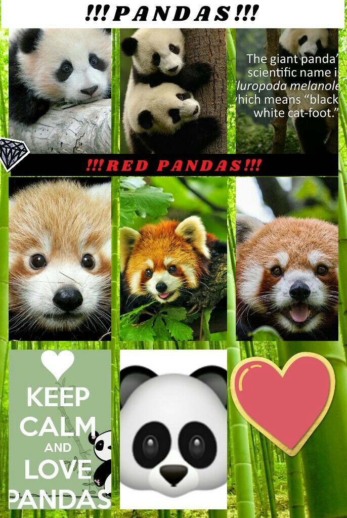  Monday's animal theme is... Pandas!! Don't forget to look out for the hidden diamond sticker!