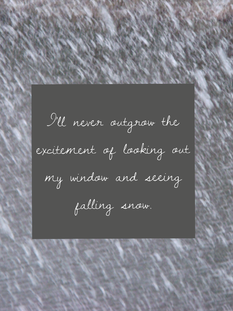 I'll never outgrow the excitement of looking out my window and seeing falling snow.