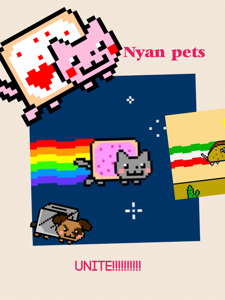 Nyan universe
